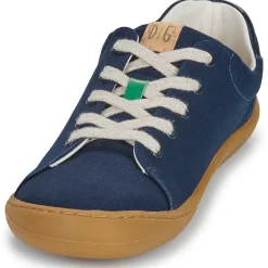 Dream in Green - ZAPHIRI