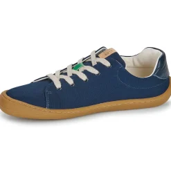 Dream in Green - ZAPHIRI