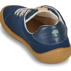 Dream in Green - ZAPHIRI