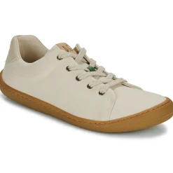 Dream in Green - ZAPHIRI