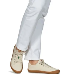 Dream in Green - ZAPHIRI