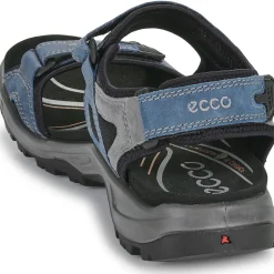 Ecco - 069564-02038
