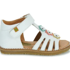 El Naturalista - 5354