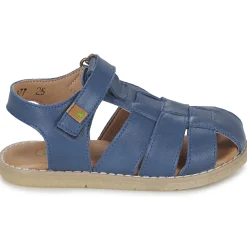 El Naturalista - AFRICA