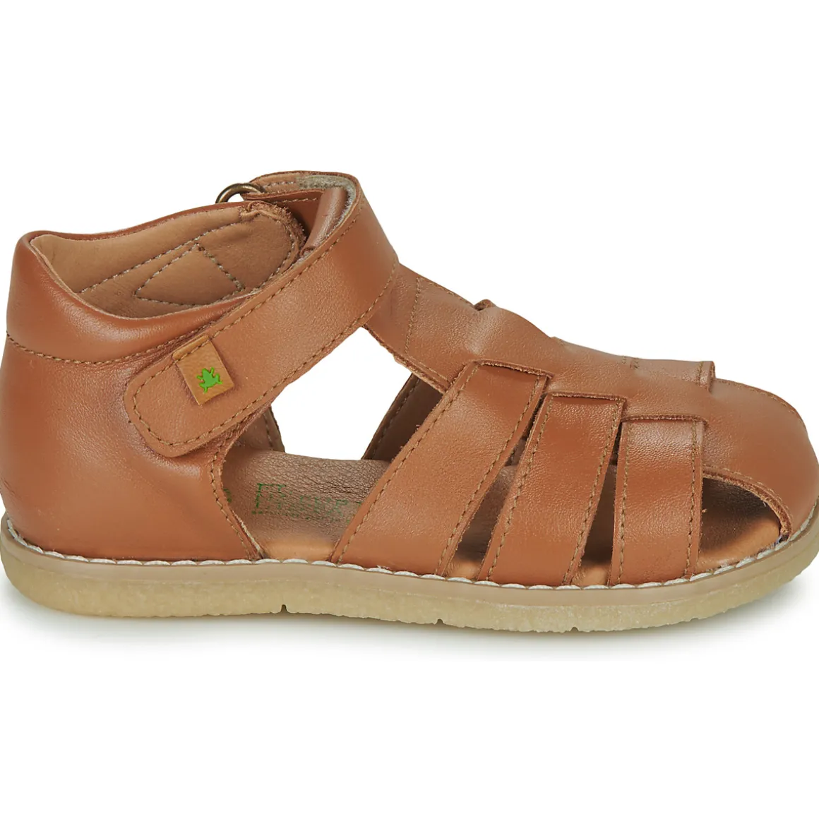 El Naturalista - AFRICA