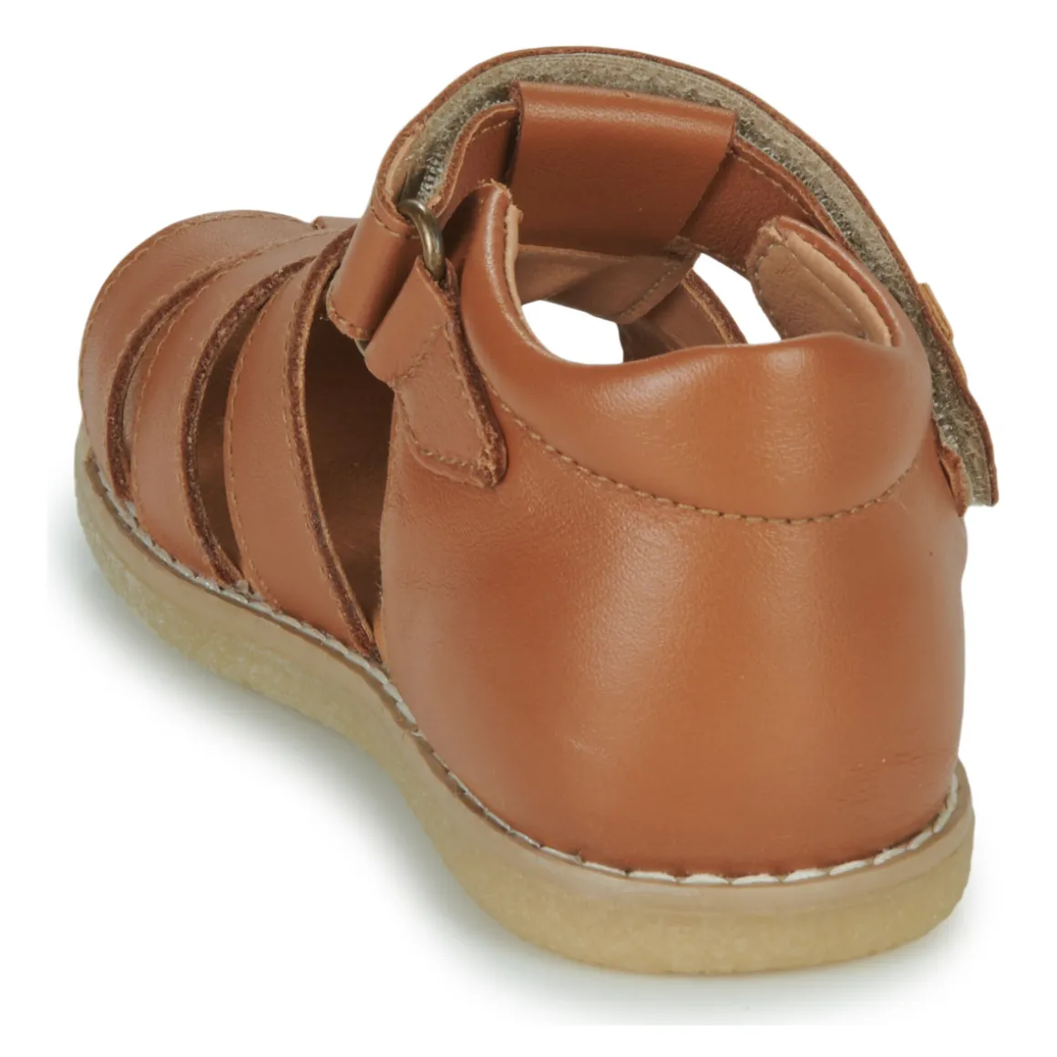 El Naturalista - AFRICA