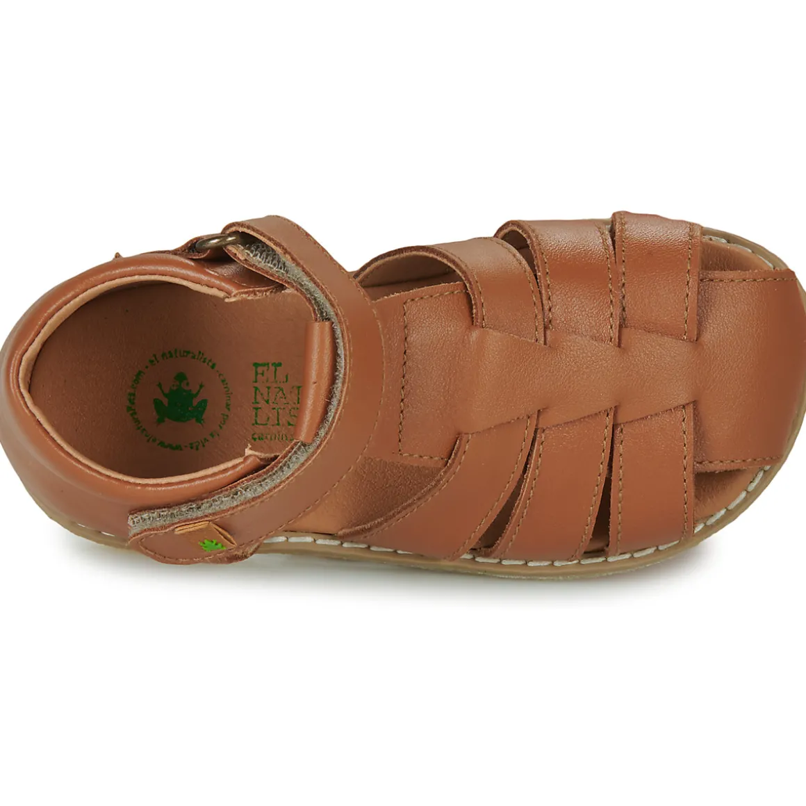 El Naturalista - AFRICA