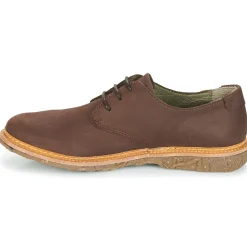 El Naturalista - ANGKOR