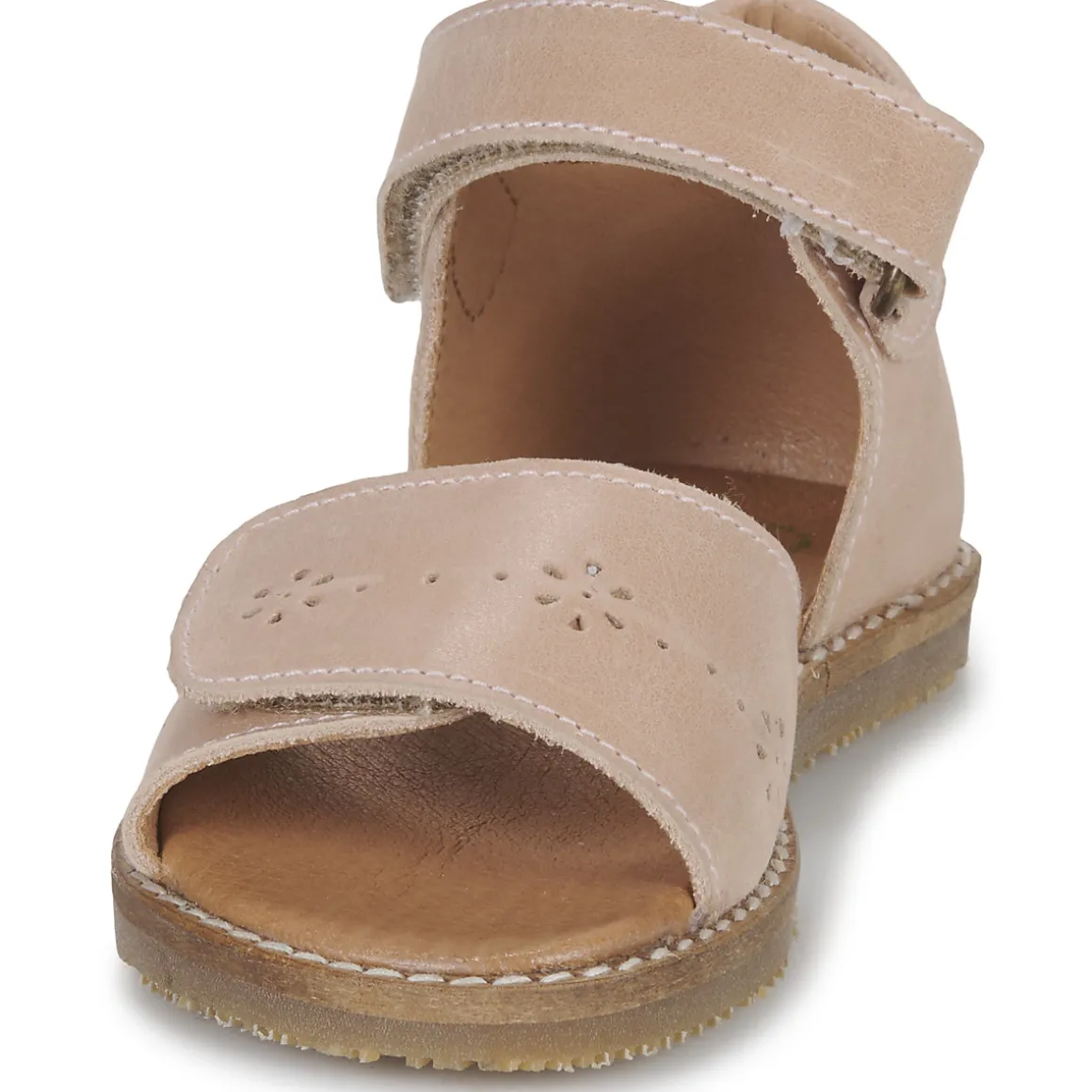 El Naturalista - ATENAS