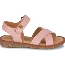 El Naturalista - ATENAS