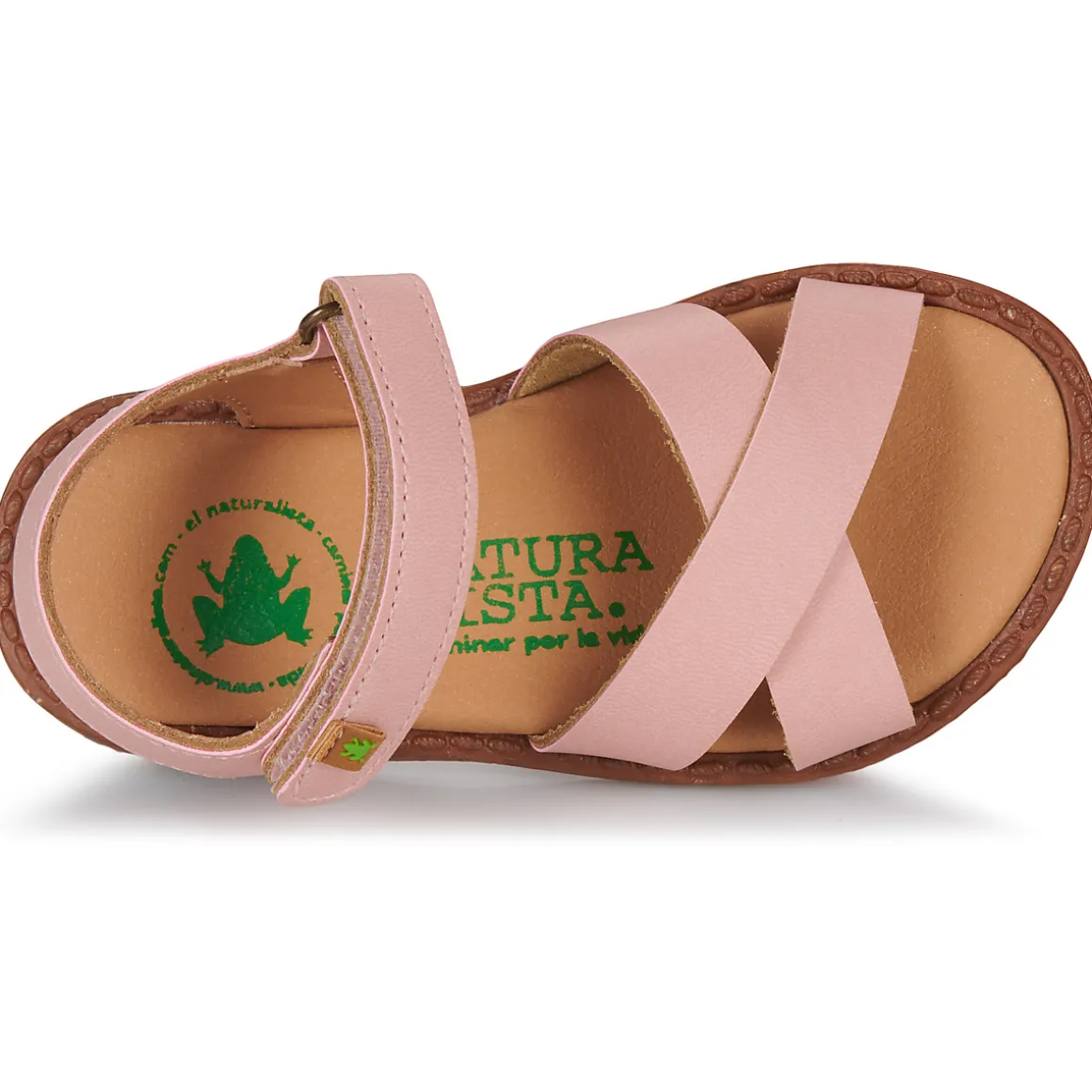 El Naturalista - ATENAS