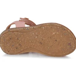 El Naturalista - ATENAS