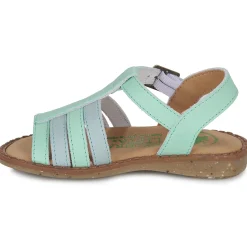 El Naturalista - ATENAS