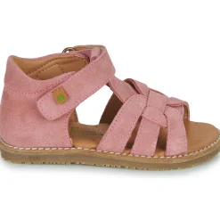 El Naturalista - ATENAS