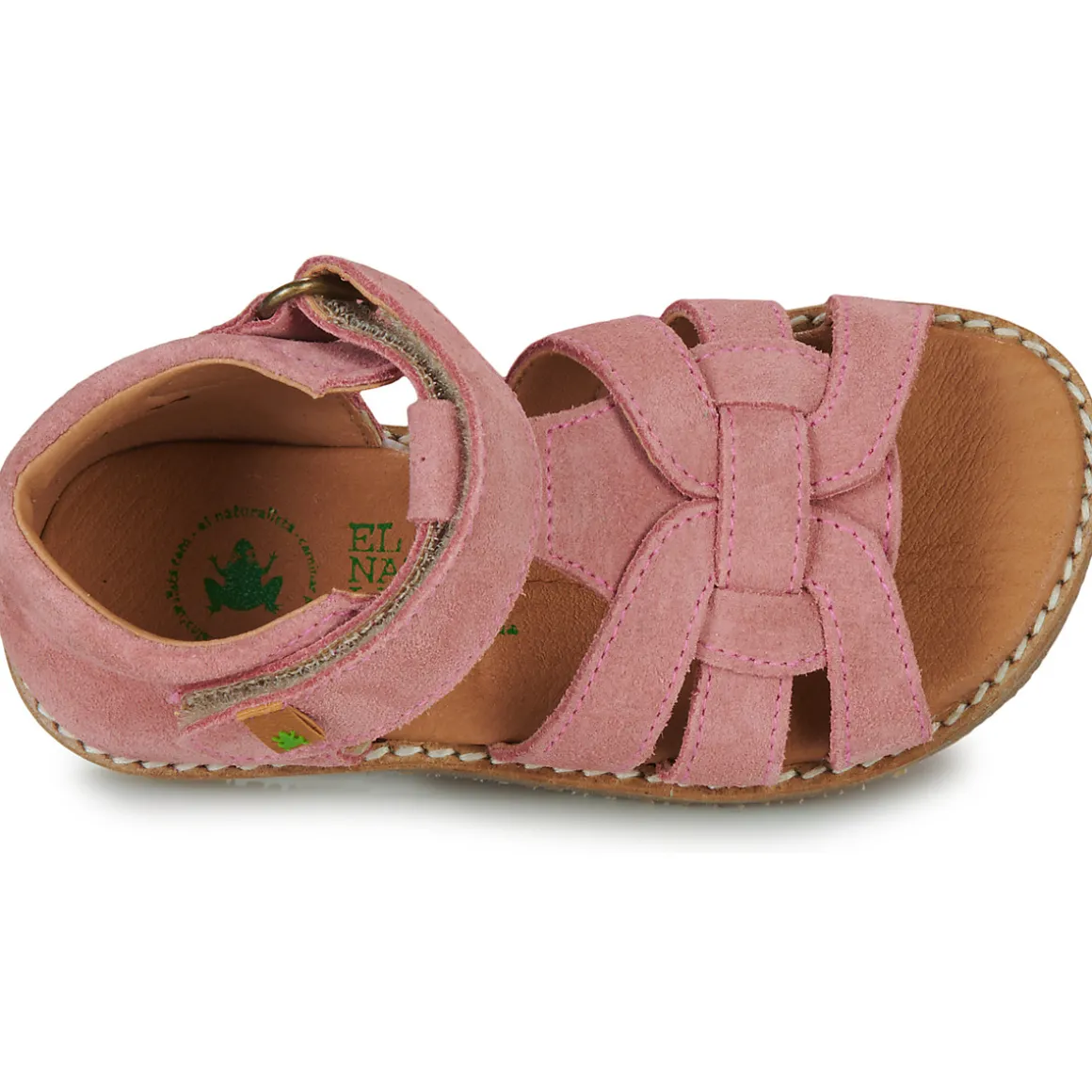 El Naturalista - ATENAS