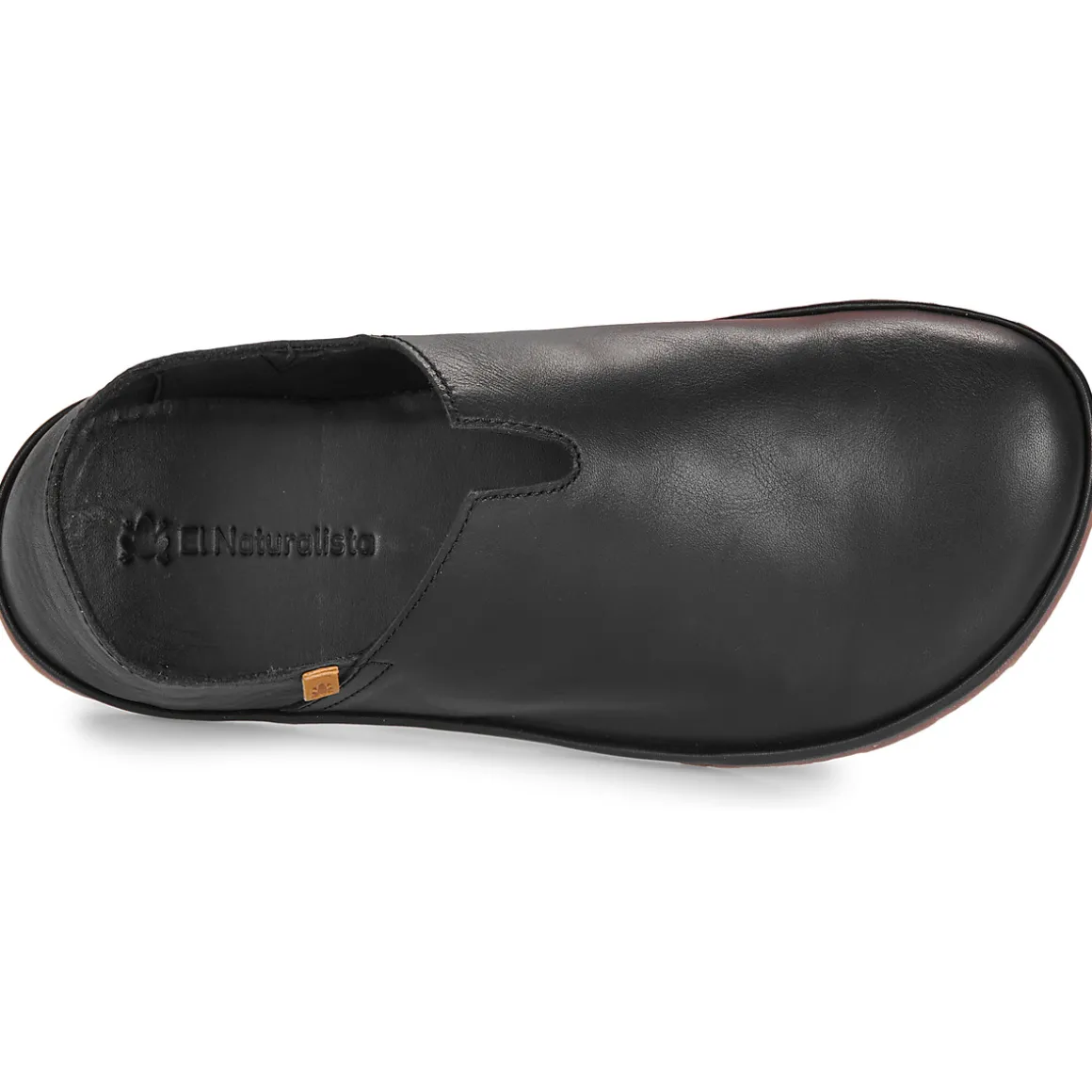 El Naturalista - BARE N5673