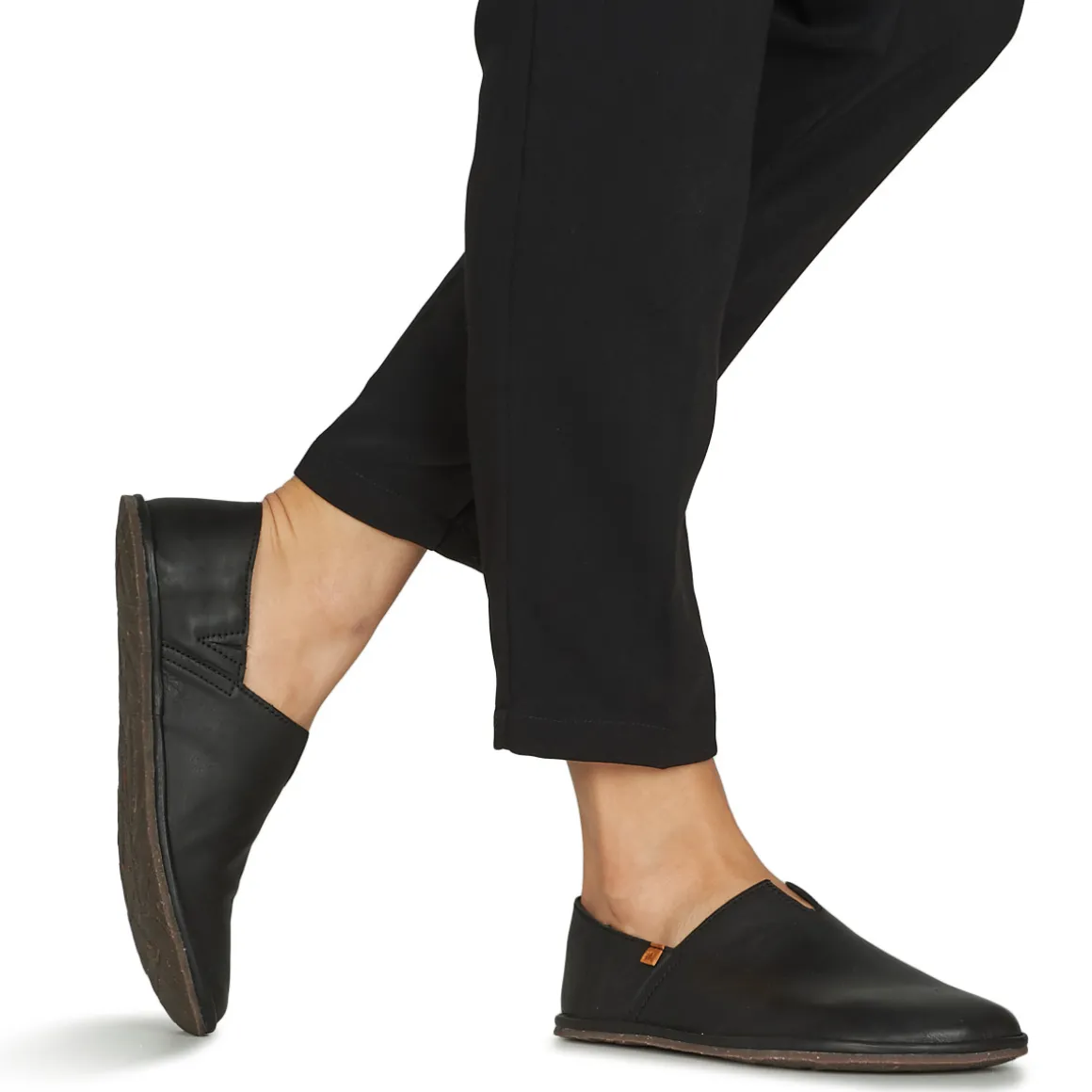 El Naturalista - BARE N5673