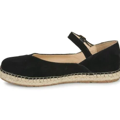 El Naturalista - CAMPOS N679