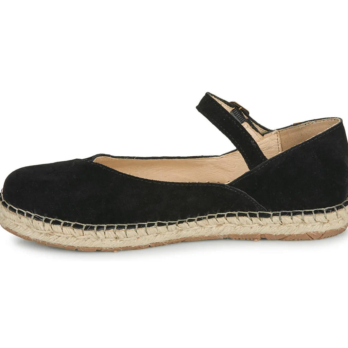 El Naturalista - CAMPOS N679