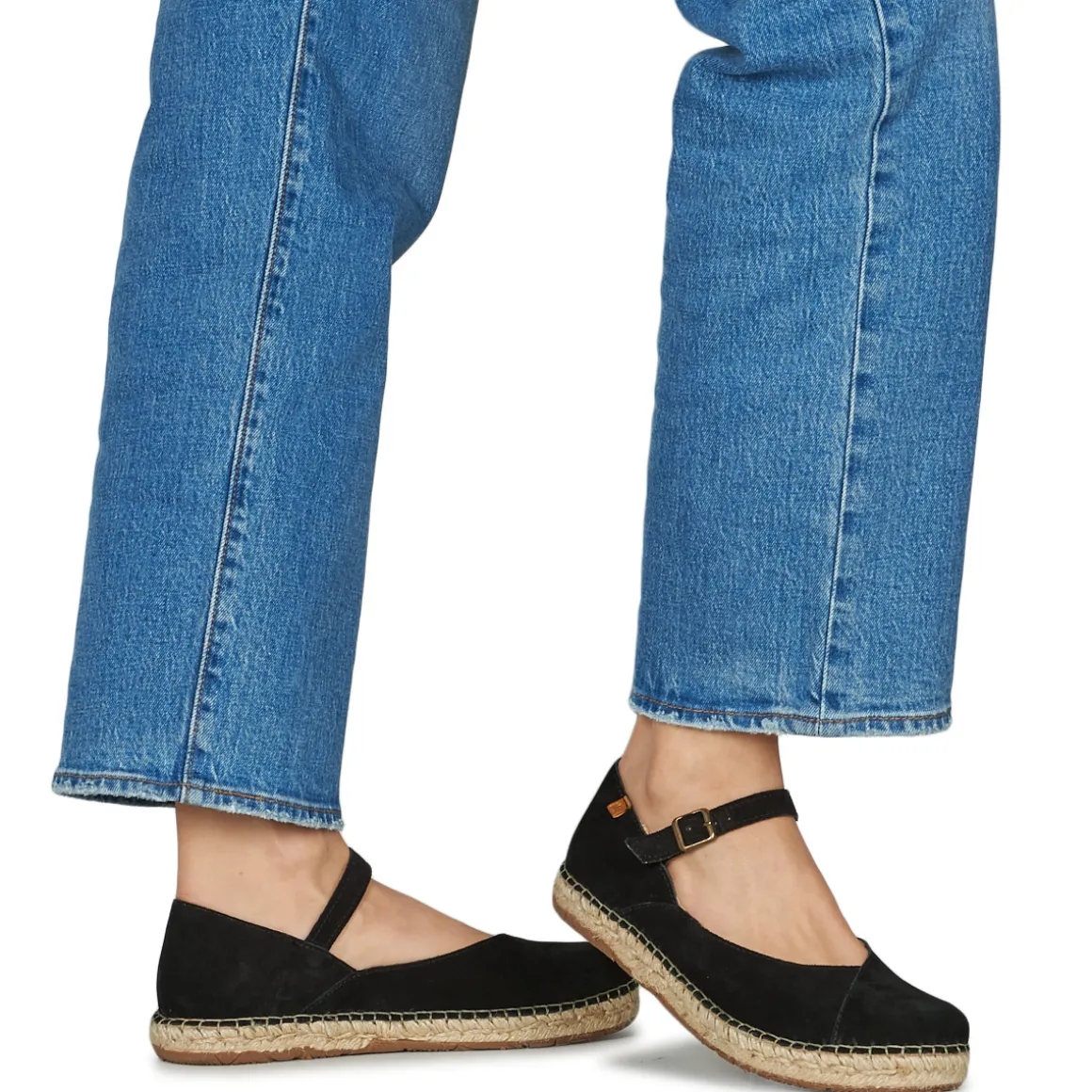 El Naturalista - CAMPOS N679