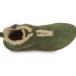 El Naturalista - CORAL 5349