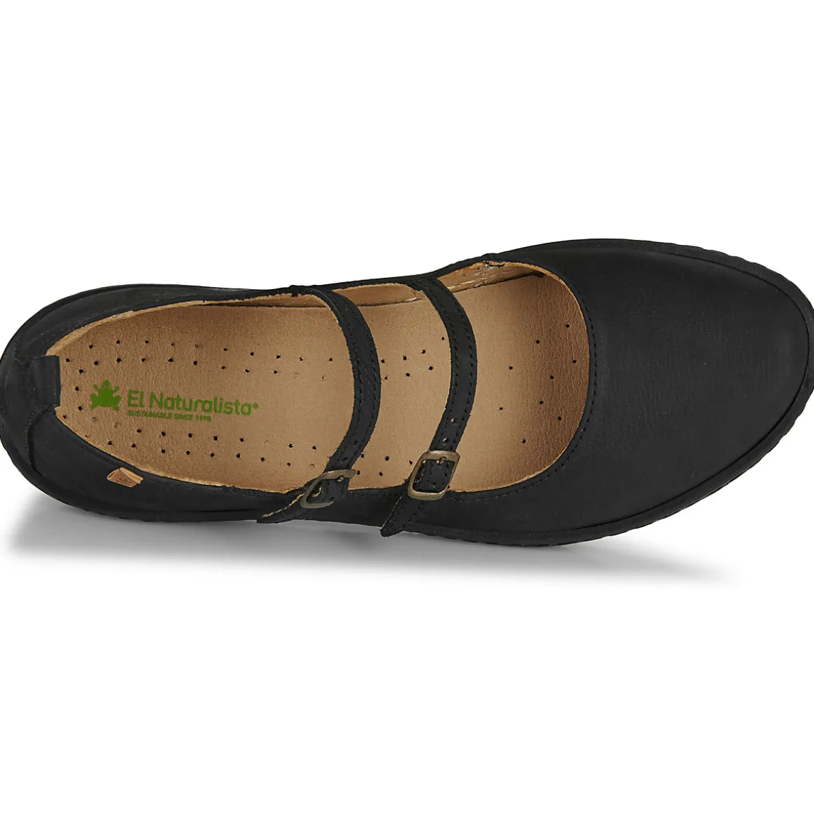 El Naturalista - CORAL N5348