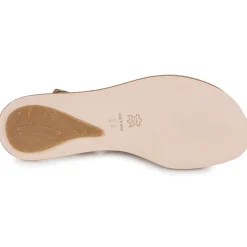 El Naturalista - CORATINA N5711