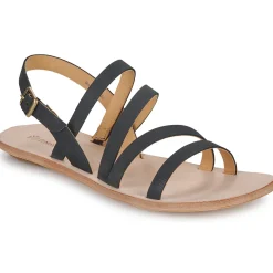 El Naturalista - CORATINA N5711