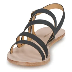 El Naturalista - CORATINA N5711