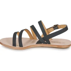 El Naturalista - CORATINA N5711