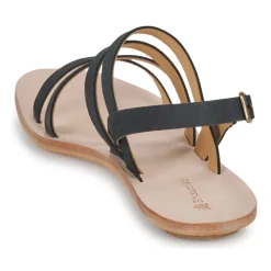 El Naturalista - CORATINA N5711