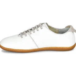 El Naturalista - EL VIAJERO N296