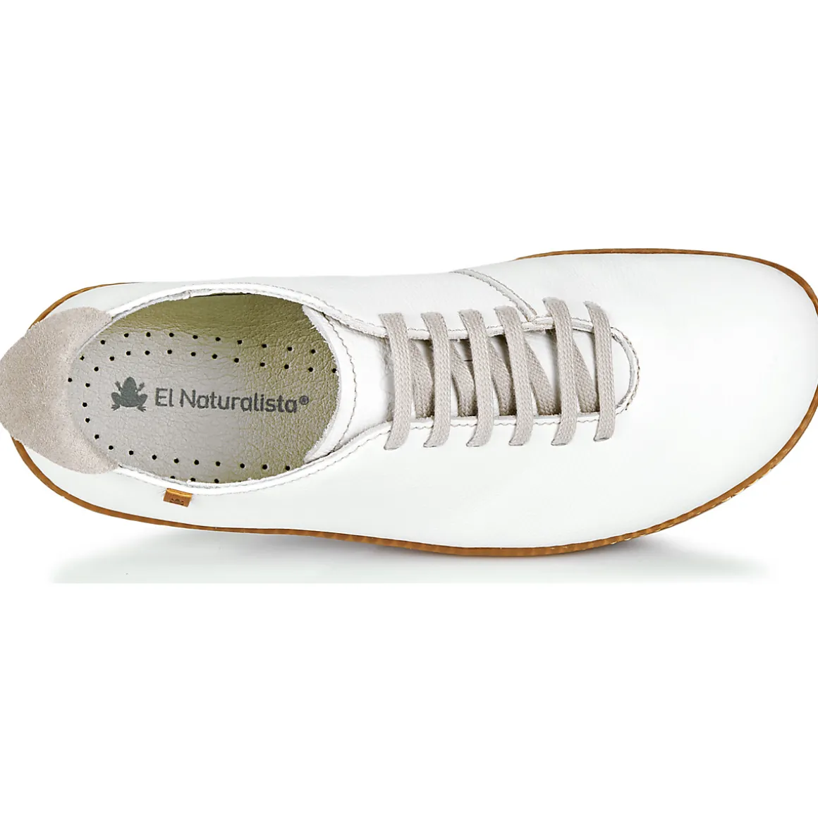 El Naturalista - EL VIAJERO N296