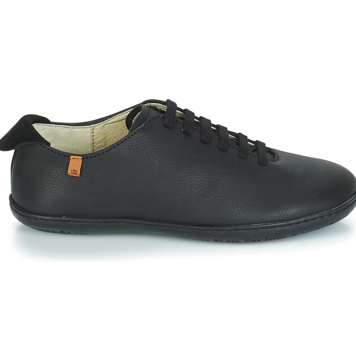 El Naturalista - EL VIAJERO FLIDSU