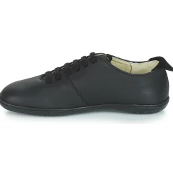 El Naturalista - EL VIAJERO FLIDSU