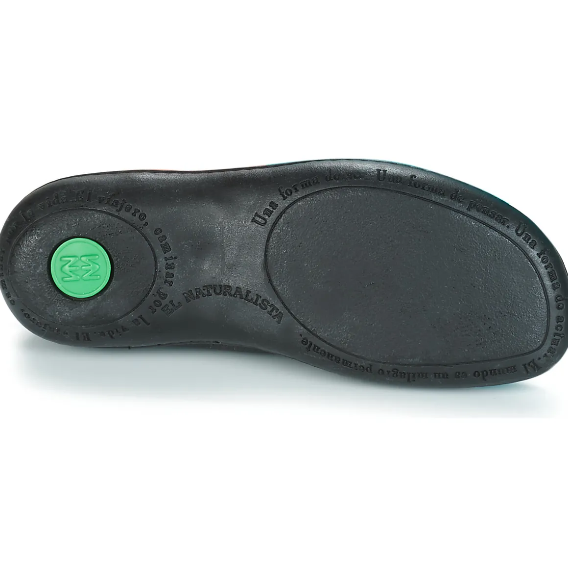 El Naturalista - EL VIAJERO FLIDSU