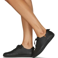 El Naturalista - EL VIAJERO FLIDSU