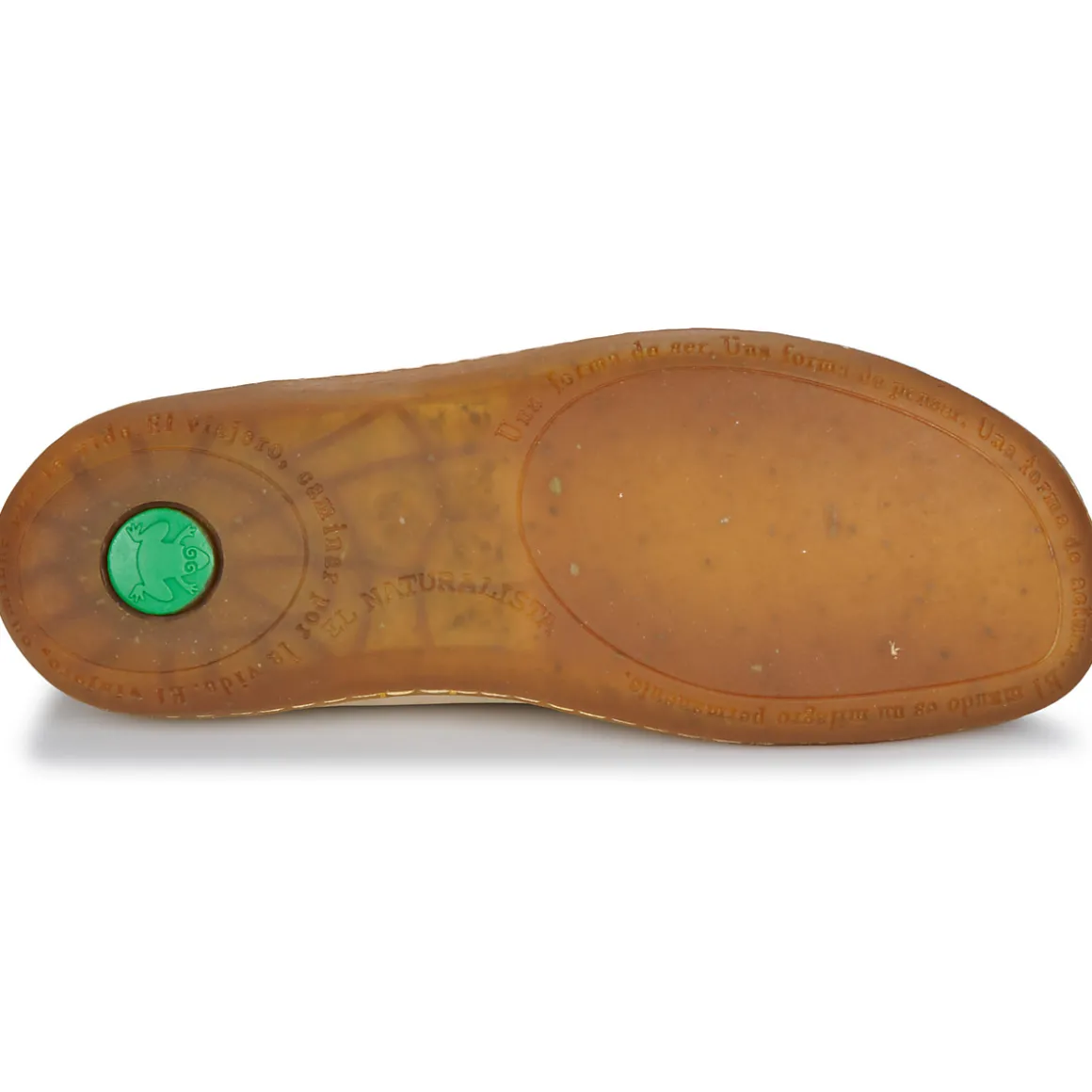 El Naturalista - EL VIAJERO FLIDSU