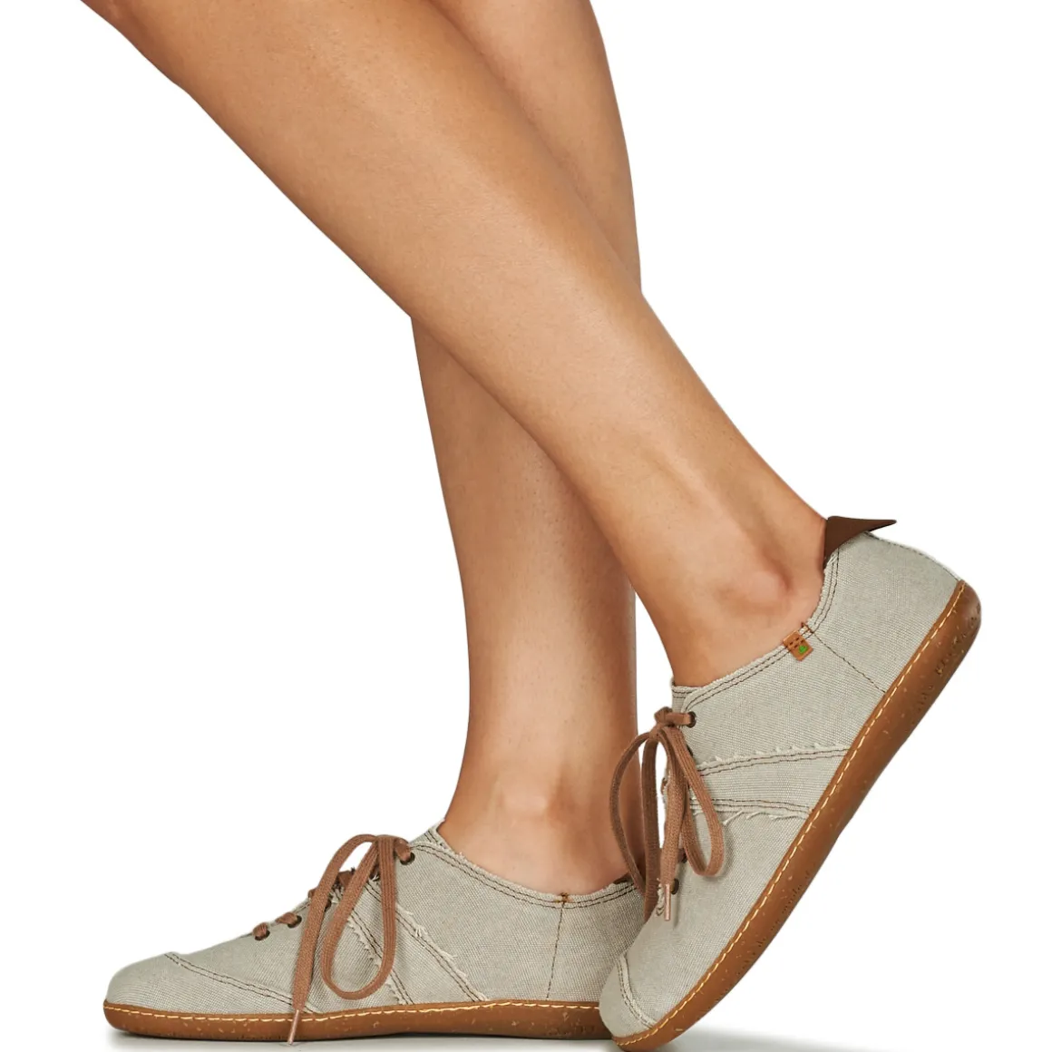 El Naturalista - EL VIAJERO N5288T