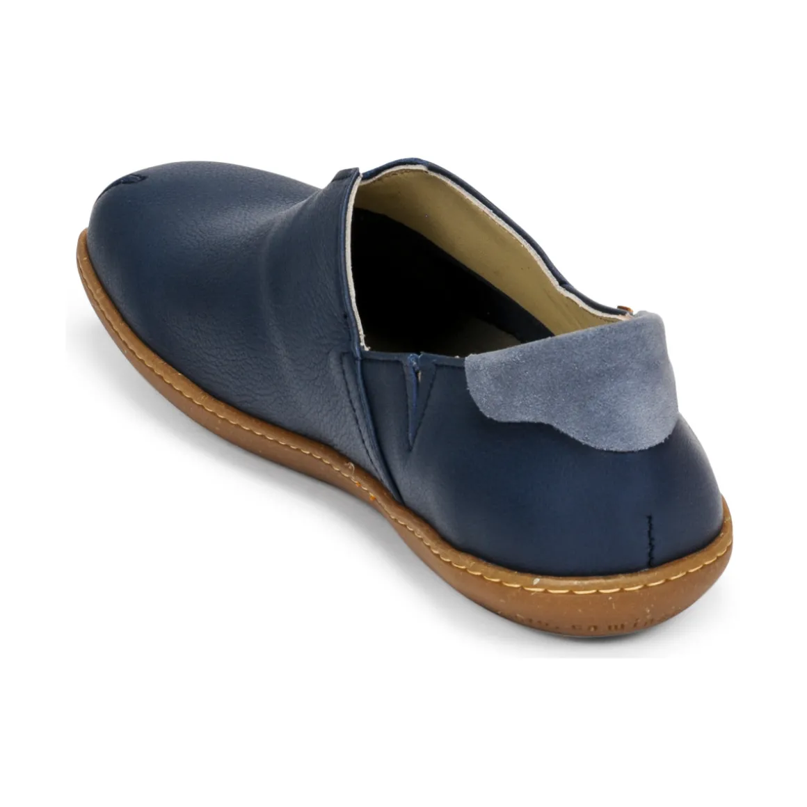 El Naturalista - EL VIAJERO N275