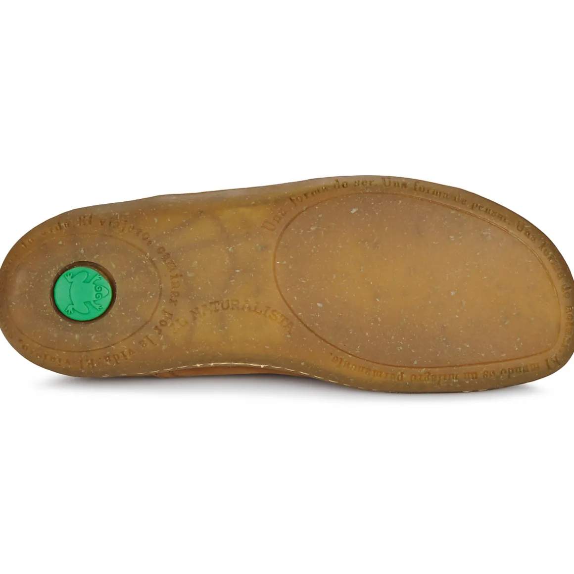 El Naturalista - EL VIAJERO N275