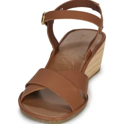 El Naturalista - GAIA N854