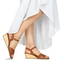 El Naturalista - GAIA N854