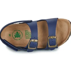 El Naturalista - INCOGNITO