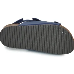 El Naturalista - INCOGNITO