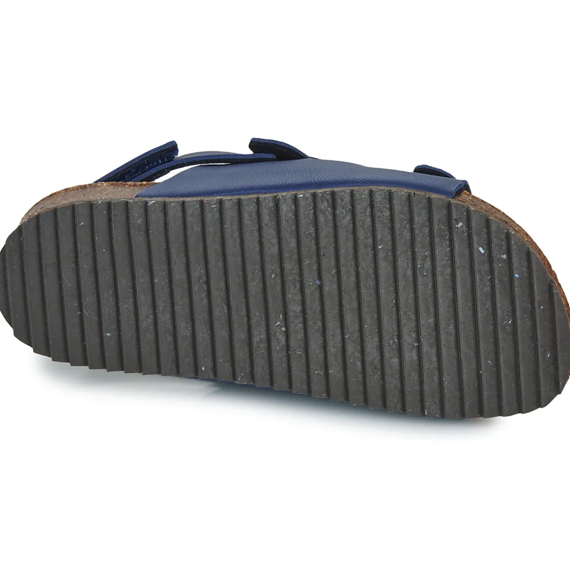 El Naturalista - INCOGNITO