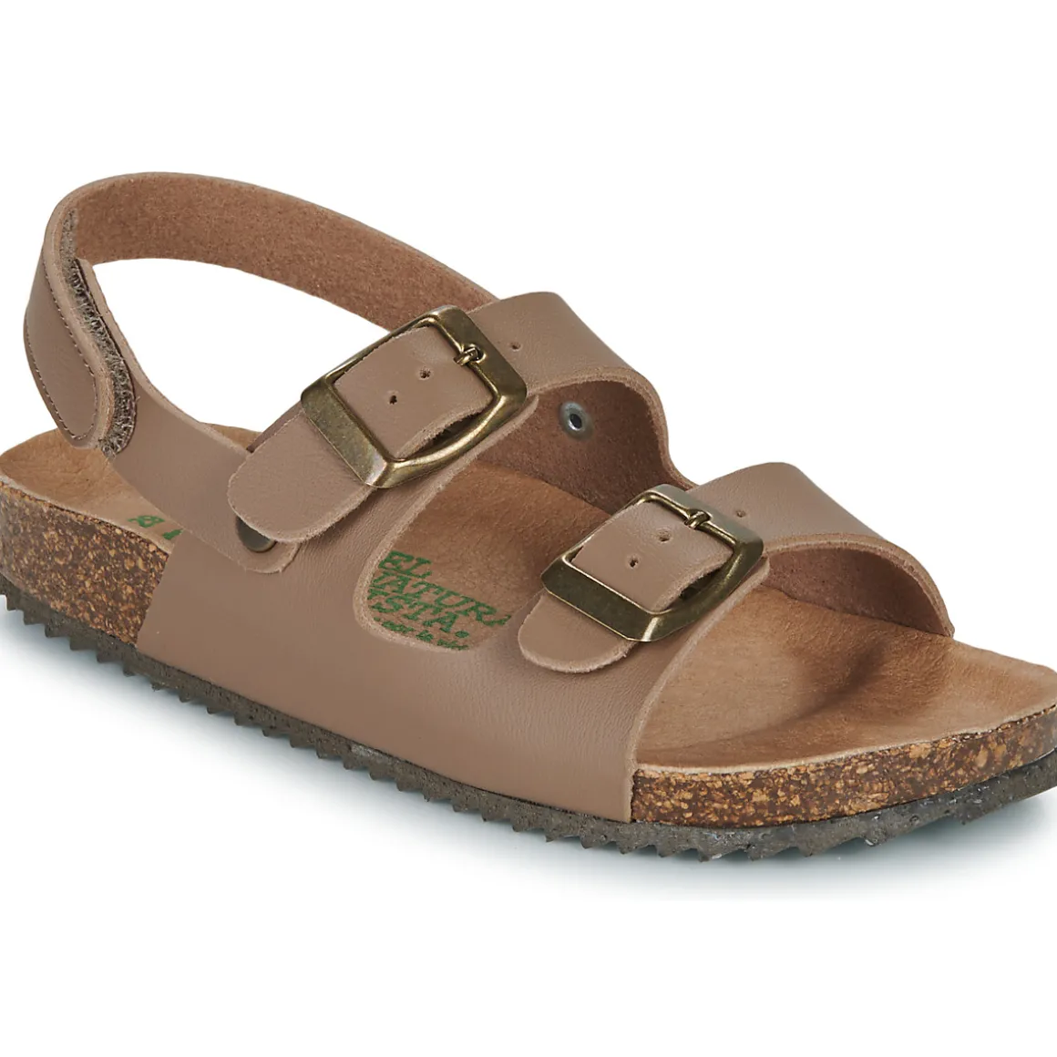 El Naturalista - INCOGNITO