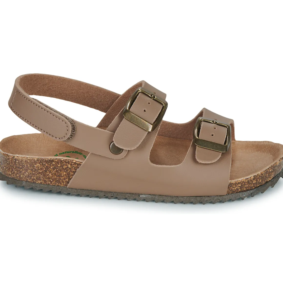 El Naturalista - INCOGNITO