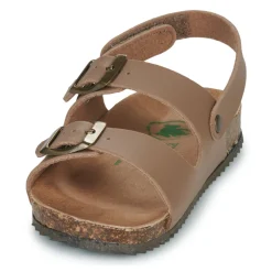 El Naturalista - INCOGNITO