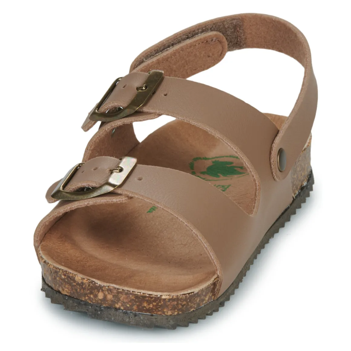 El Naturalista - INCOGNITO